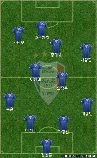 Suwon Samsung Blue Wings Formation 2013