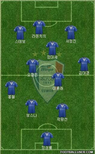 Suwon Samsung Blue Wings Formation 2013