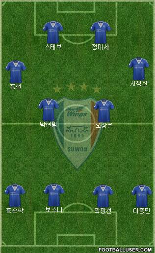 Suwon Samsung Blue Wings Formation 2013