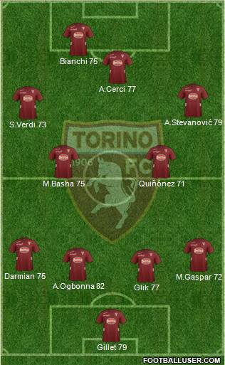 Torino Formation 2013