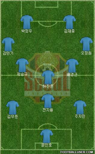 FC Seoul Formation 2013