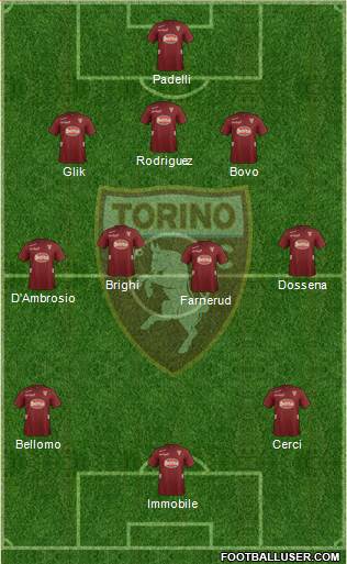 Torino Formation 2013