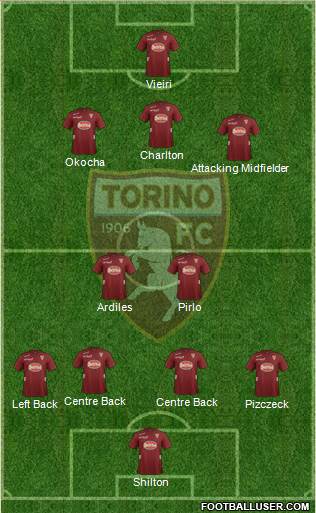 Torino Formation 2013