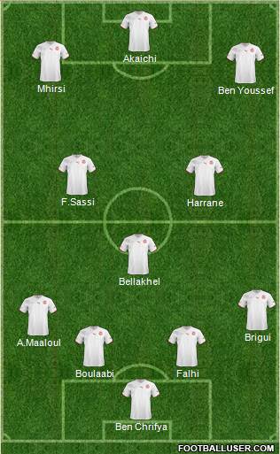 Tunisia Formation 2013