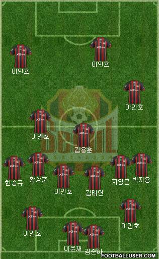 FC Seoul Formation 2013