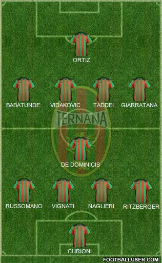 Ternana Formation 2013