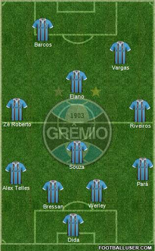 Grêmio FBPA Formation 2013