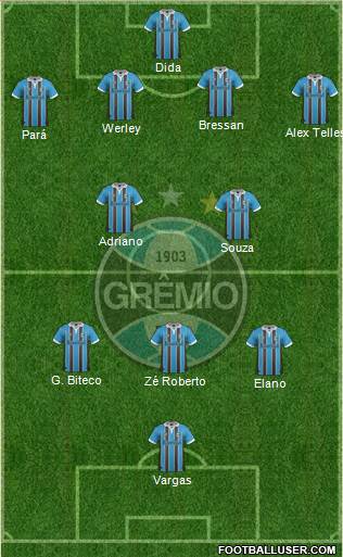 Grêmio FBPA Formation 2013