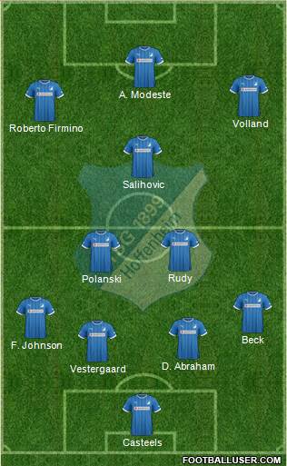 TSG 1899 Hoffenheim Formation 2013