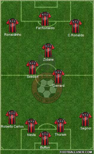 OGC Nice Côte d'Azur Formation 2013