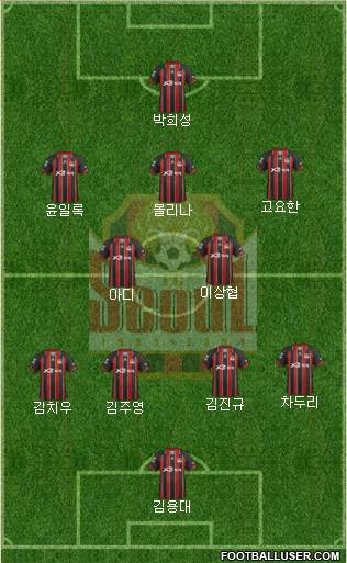 FC Seoul Formation 2013