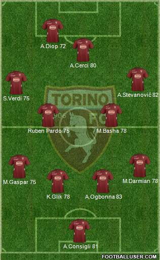 Torino Formation 2013