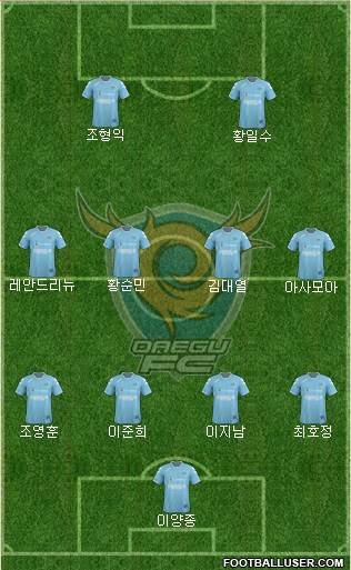 Daegu FC Formation 2013