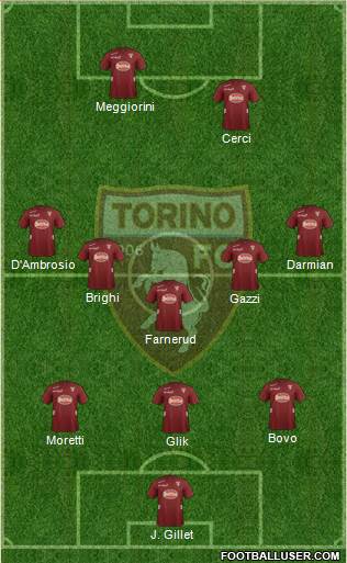 Torino Formation 2013