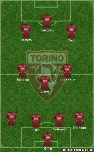 Torino Formation 2013