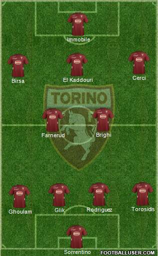 Torino Formation 2013