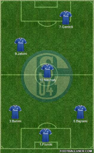 FC Schalke 04 Formation 2013