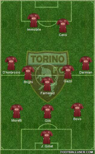 Torino Formation 2013