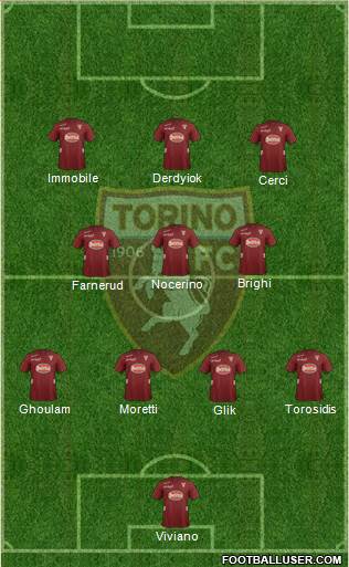 Torino Formation 2013