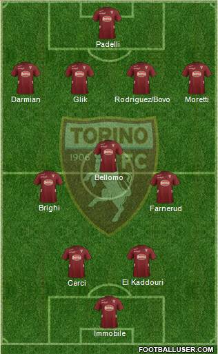 Torino Formation 2013