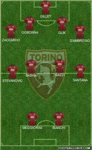 Torino Formation 2013