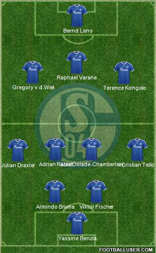 FC Schalke 04 Formation 2013