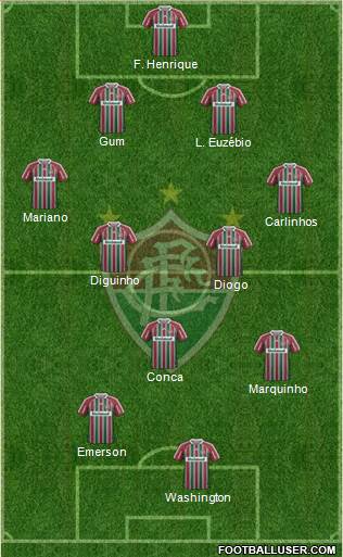 Fluminense FC Formation 2013