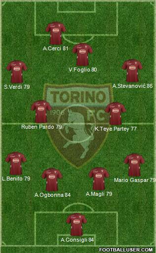 Torino Formation 2013