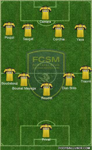 FC Sochaux-Montbéliard Formation 2013