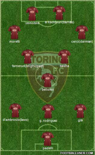 Torino Formation 2013