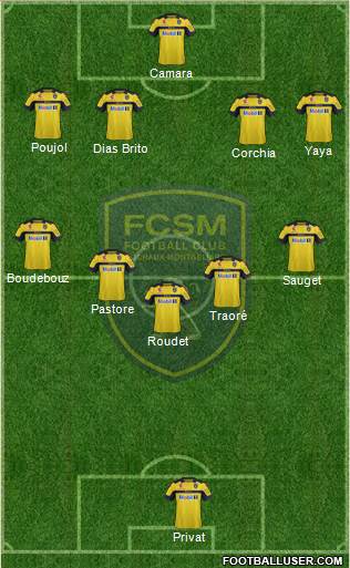 FC Sochaux-Montbéliard Formation 2013