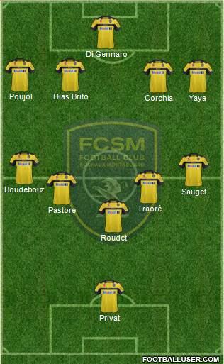 FC Sochaux-Montbéliard Formation 2013