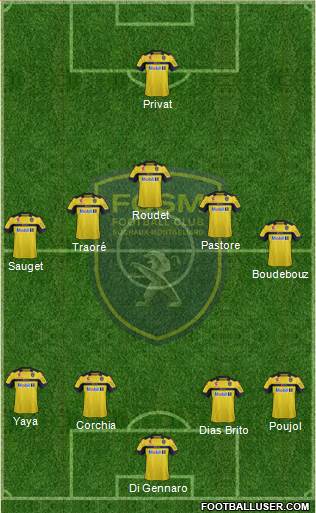 FC Sochaux-Montbéliard Formation 2013