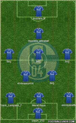 FC Schalke 04 Formation 2013