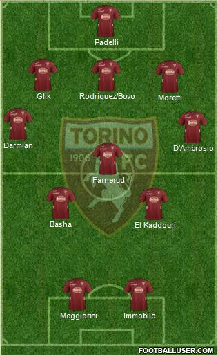 Torino Formation 2013