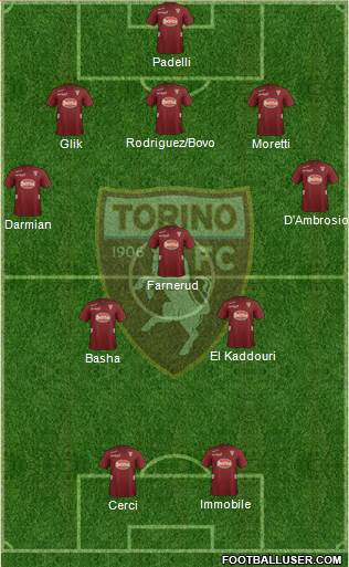 Torino Formation 2013