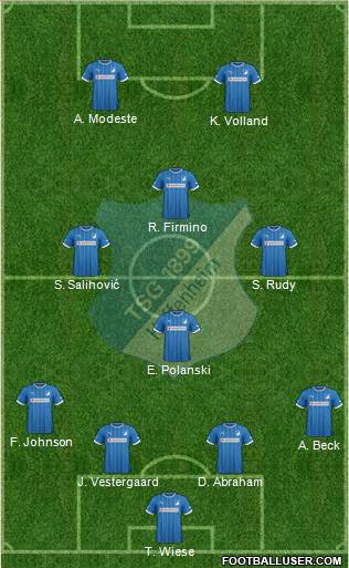 TSG 1899 Hoffenheim Formation 2013