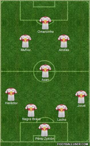 New York Red Bulls Formation 2013