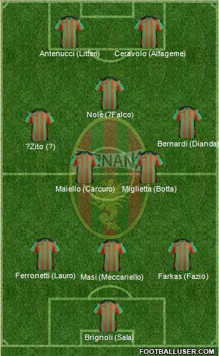 Ternana Formation 2013