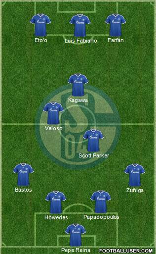 FC Schalke 04 Formation 2013