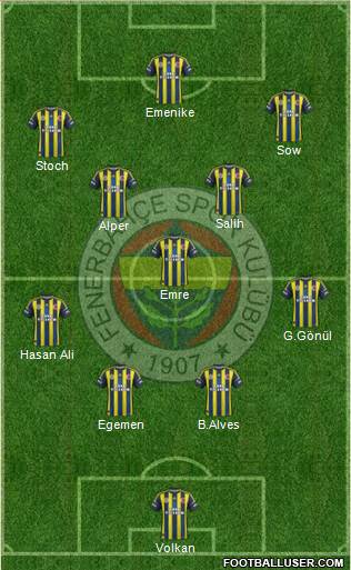 Fenerbahçe SK Formation 2013