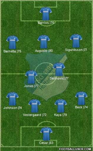 TSG 1899 Hoffenheim Formation 2013