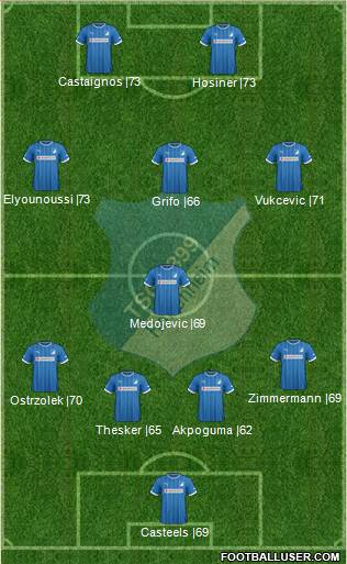 TSG 1899 Hoffenheim Formation 2013