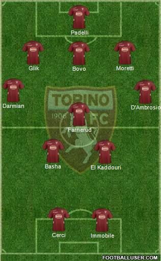 Torino Formation 2013