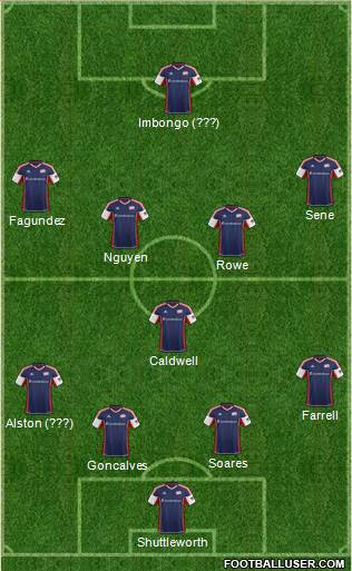 New England Revolution Formation 2013