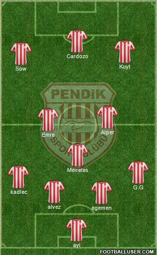 Pendikspor Formation 2013