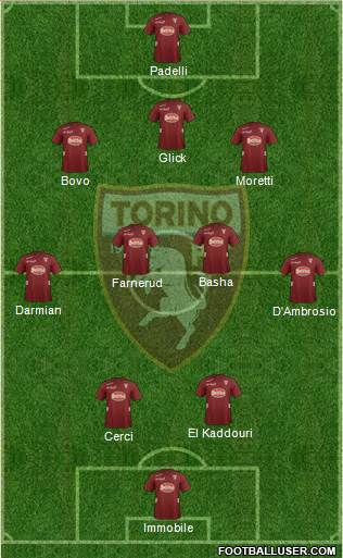 Torino Formation 2013