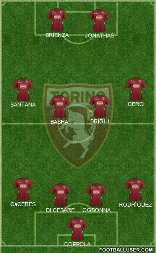 Torino Formation 2013