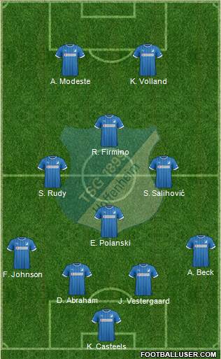 TSG 1899 Hoffenheim Formation 2013