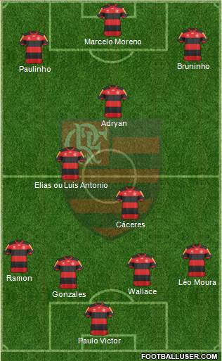 CR Flamengo Formation 2013